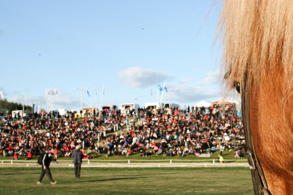 Photo: Gígja D. Einarsdóttir