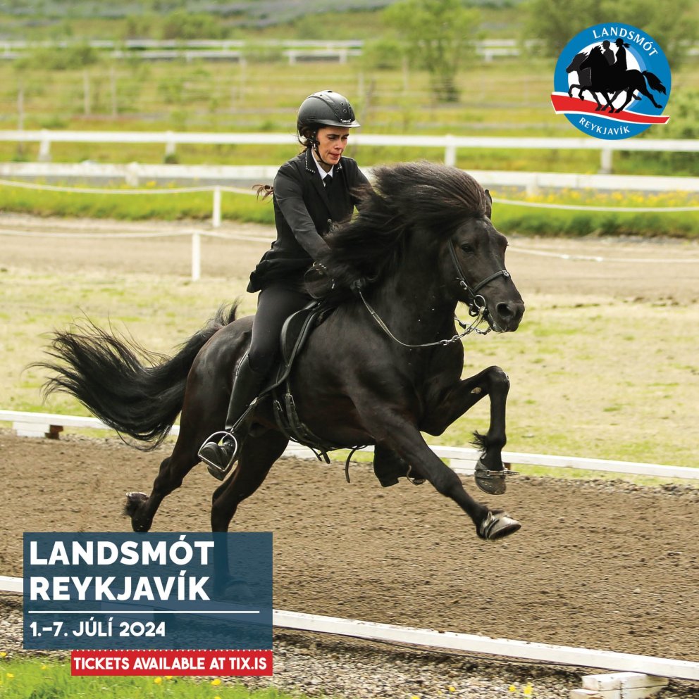 Early bird offer until January 4th!