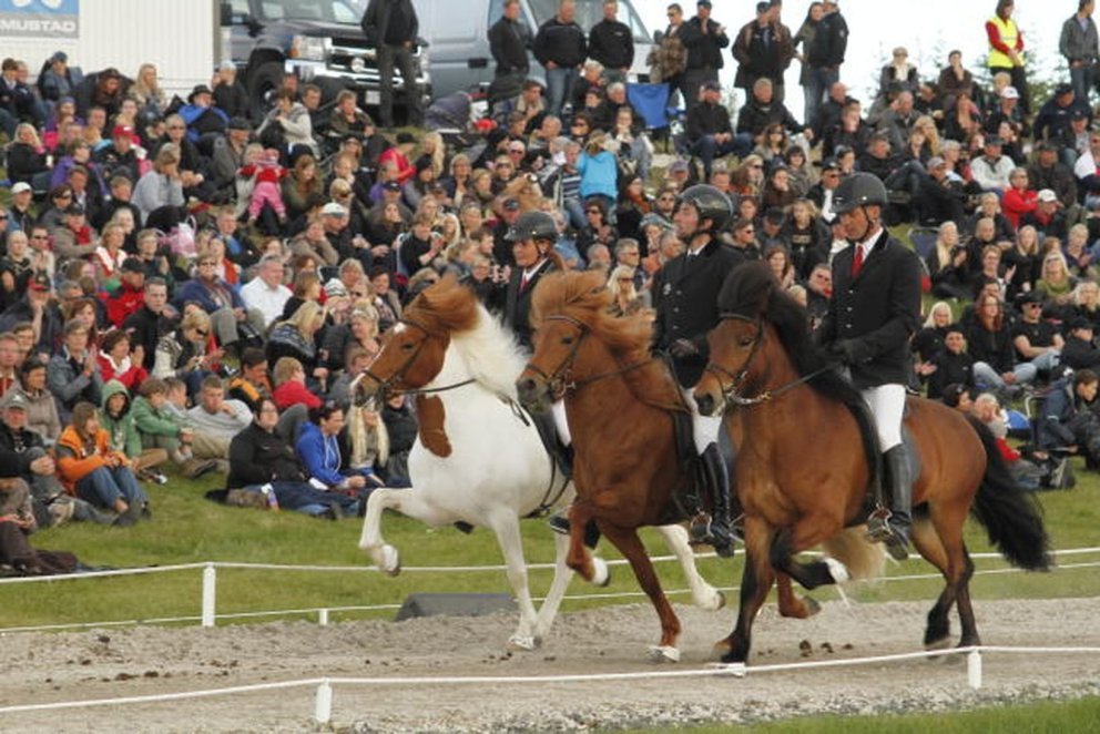 Breedingfarm Show - a list of the farms attending this year