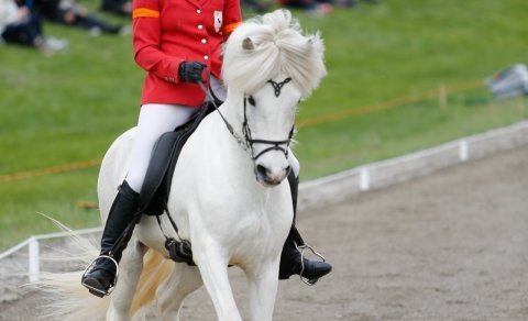 Startinglists Landsmót 2024