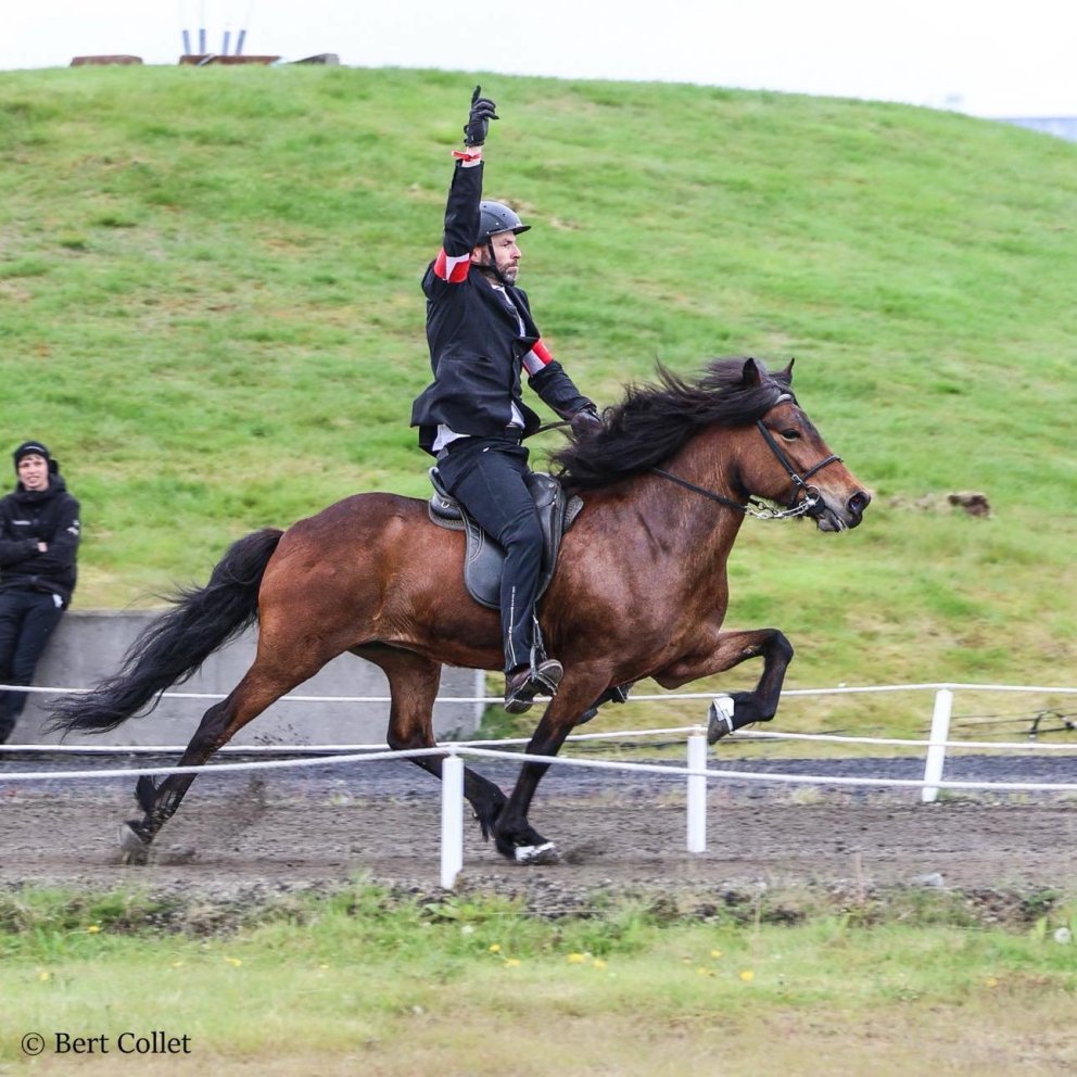 Álfamær frá Prestbæ og Árni Björn scored 9,07