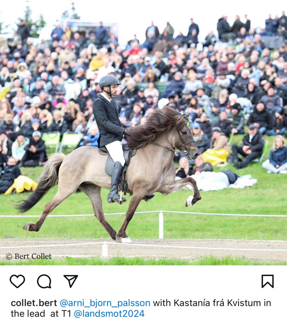 Árni Björn and Kastanía in the lead in Tölt T1