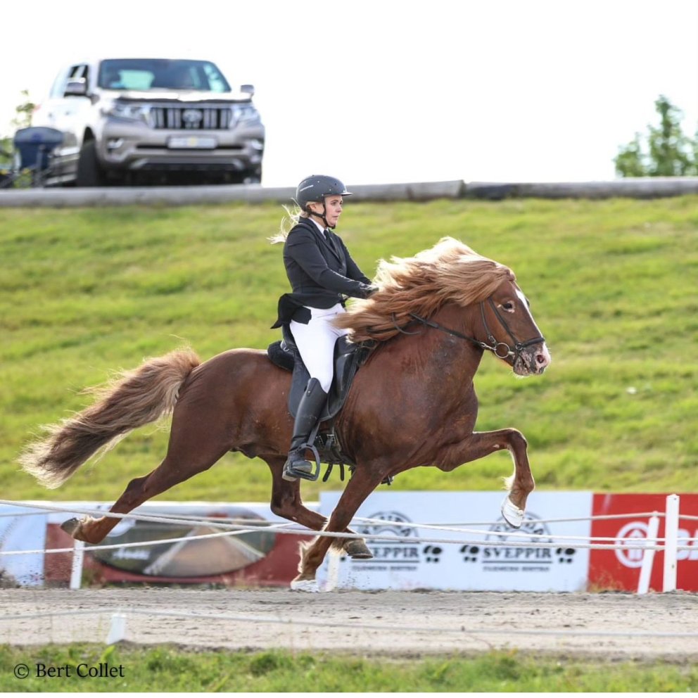 Leynir frá Garðshorni in Þelamörk in the lead in A-class