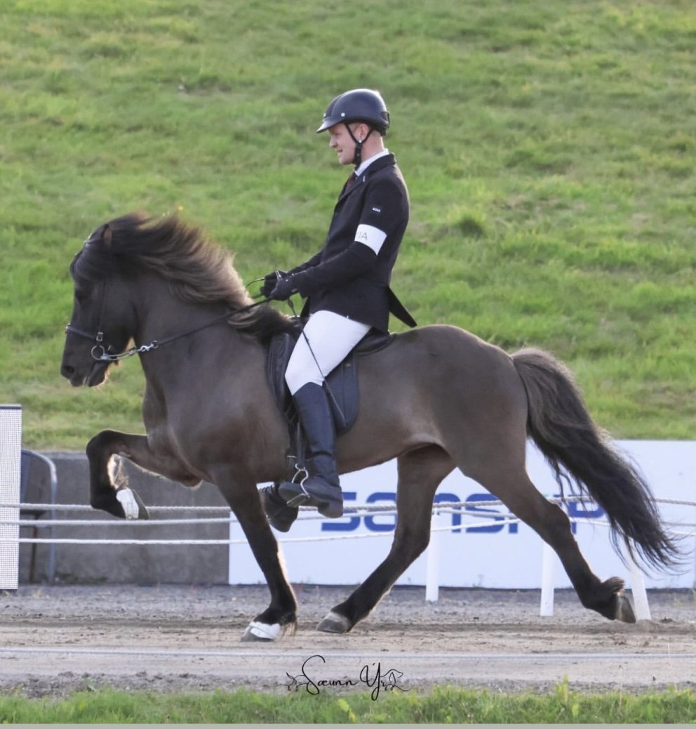 Gústaf Ásgeir and Assa frá Miðhúsum winners of B-finals in tölt