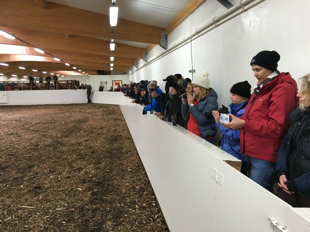 Day of Culture and Breeding in Skagafjörður