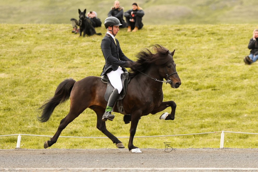 Preliminary round in Youth B Class completed