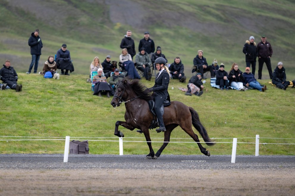Hugsýn frá Ketilsstöðum. Mynd Þórhildur Gunnarsdóttir