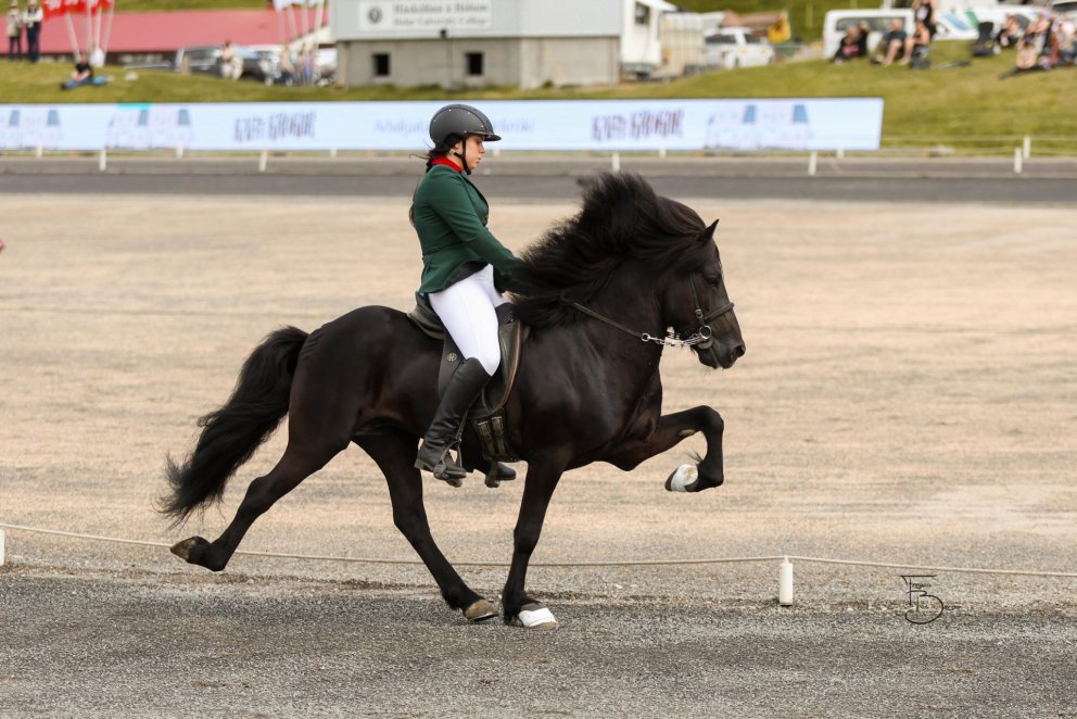Eik Elvarsdóttir and Valur frá Stangarlæk 1. Mynd Freydís Bergsdóttir