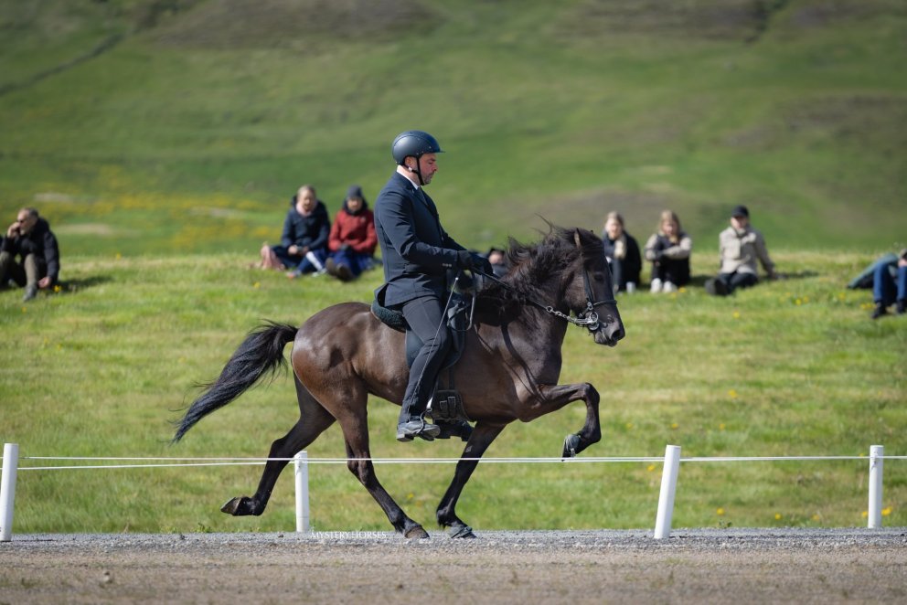 Tíbrá frá Eystra- Hóli og Ævar Örn Guðjónsson.Mynd Mystery.horses