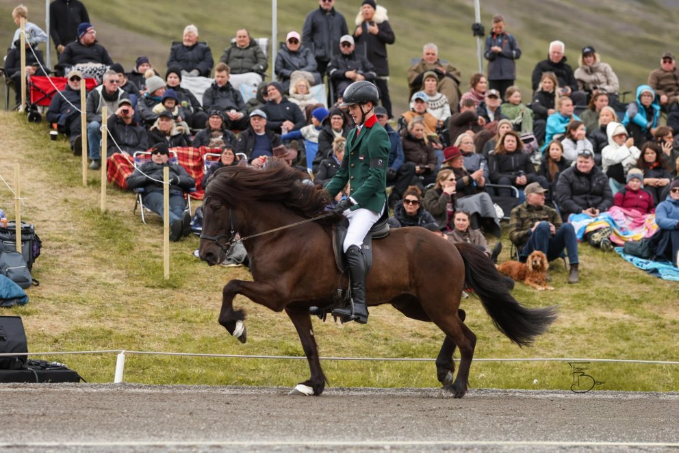 Róbert Darri Edwardsson and Rökkvi frá Hólaborg. Mynd Freydís Bergsdóttir