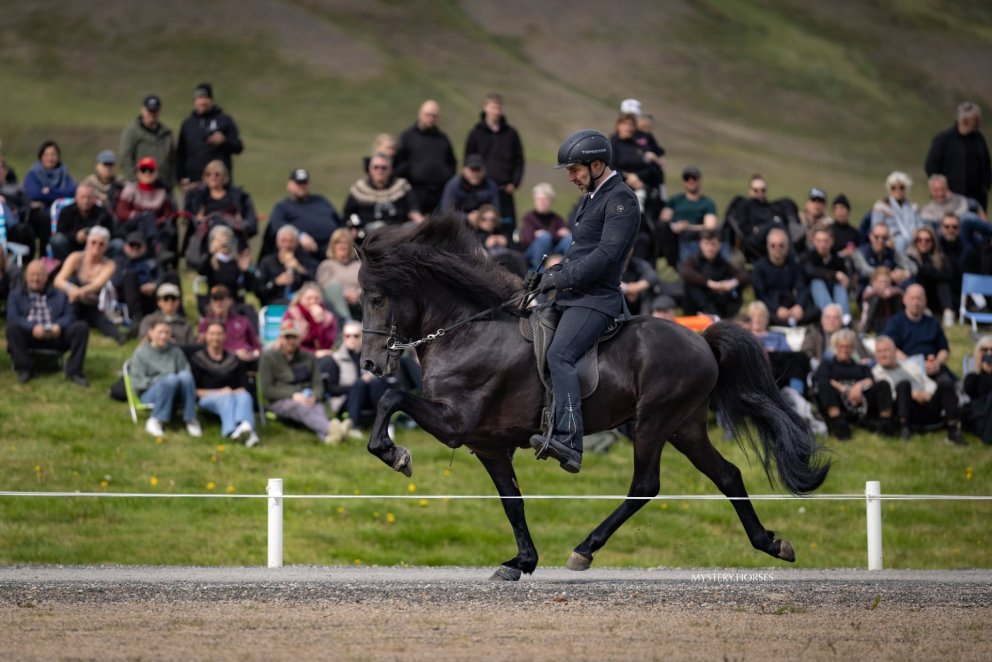 Verðlaunaveitingar afkvæmahesta - rásröð laugardags