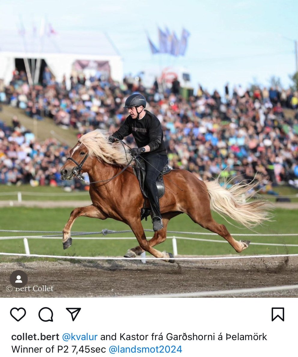 Konráð Valur þrefaldur sigurvegari skeiðgreina Landsmóts