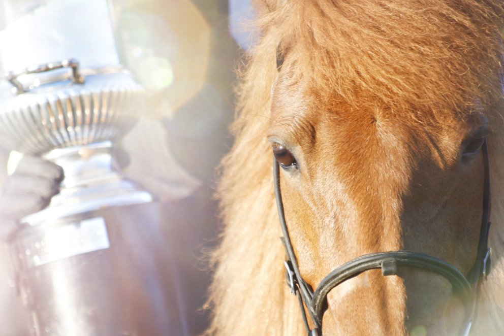 Keppni í barnaflokki lokið!