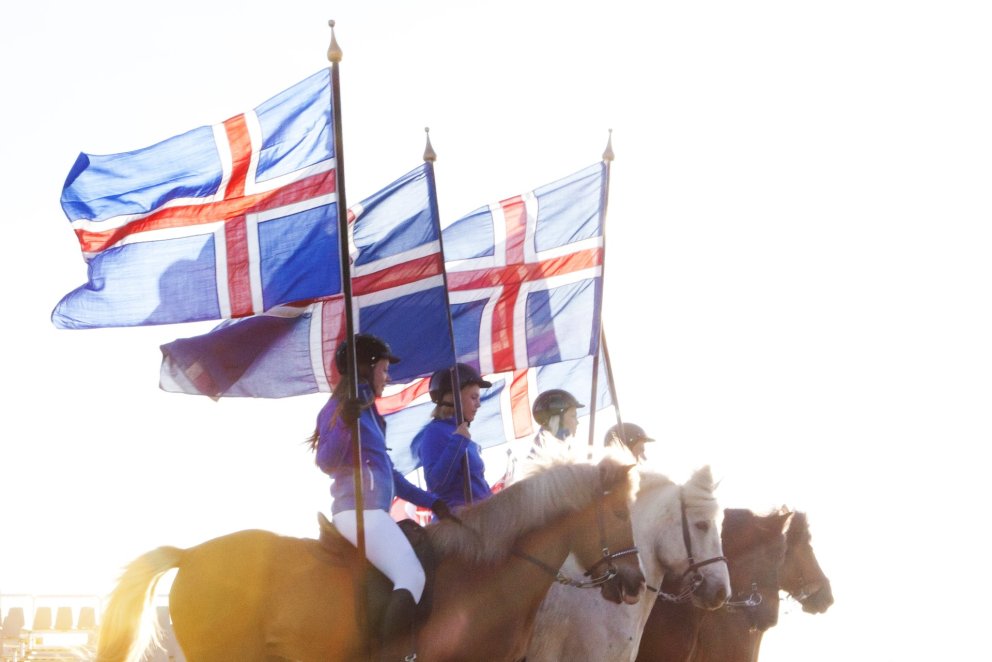 Punktar frá yfirdómara fyrir keppni