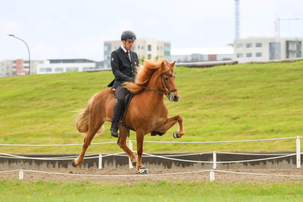 Auðlind frá Þjórsárbakka and Þorgeir Ólafsson in the lead in V1
