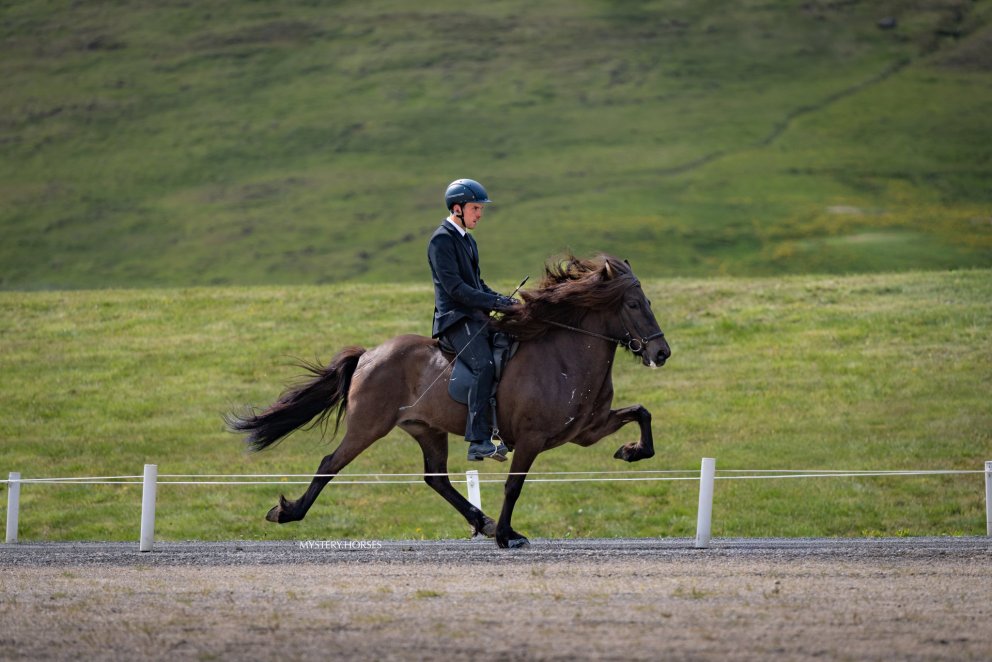 Blíða frá Bergi og Þorgeir Ólafsson. Mynd Þórhildur Gunnarsdóttir
