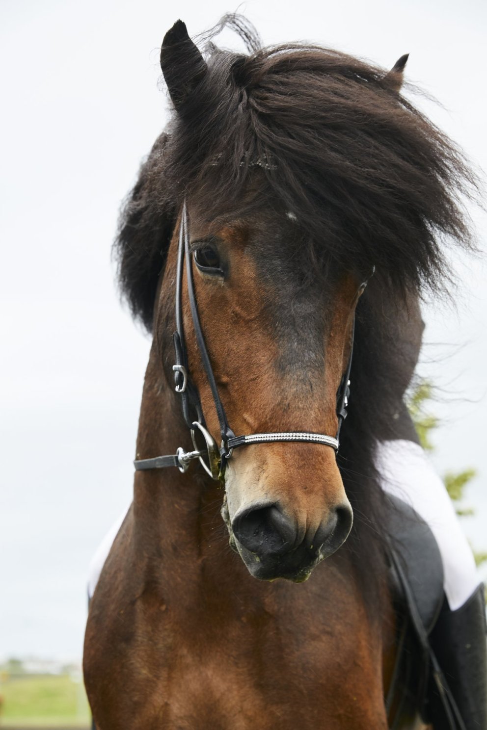 Draft program for LM 2026