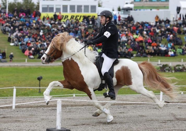 Keppendalistar í gæðingakeppninni