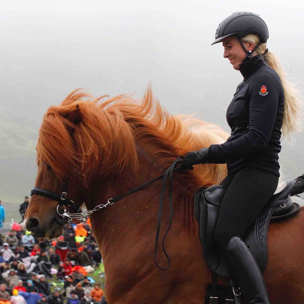 Four-year-old mares first in track at LM2024 - timetable is ready!