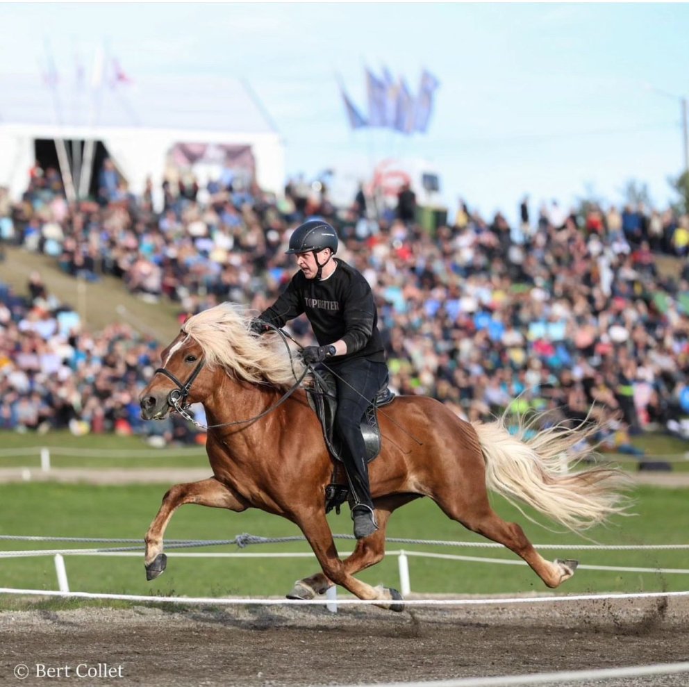 Konráð and Kastor won again!!