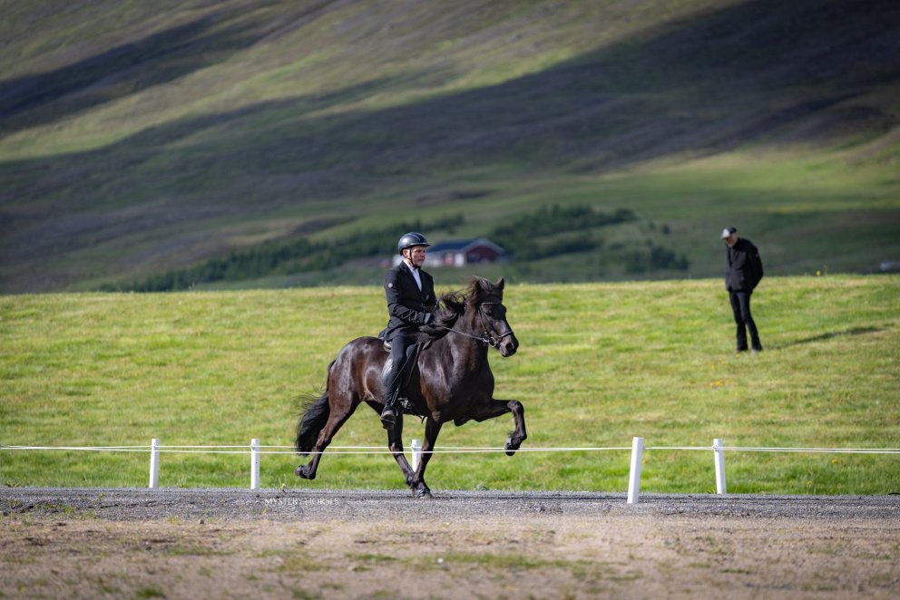 Hrefna frá Hemlu II og Vignir Siggeirsson. Ljósmynd: Þórhildur Gunnarsdóttir