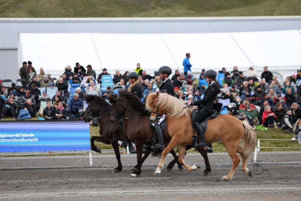 Elin Holst, Ásmundur Ernir Snorrason og Brynja Kristinsdóttir. Ljósmynd: Freydís Bergsdóttir