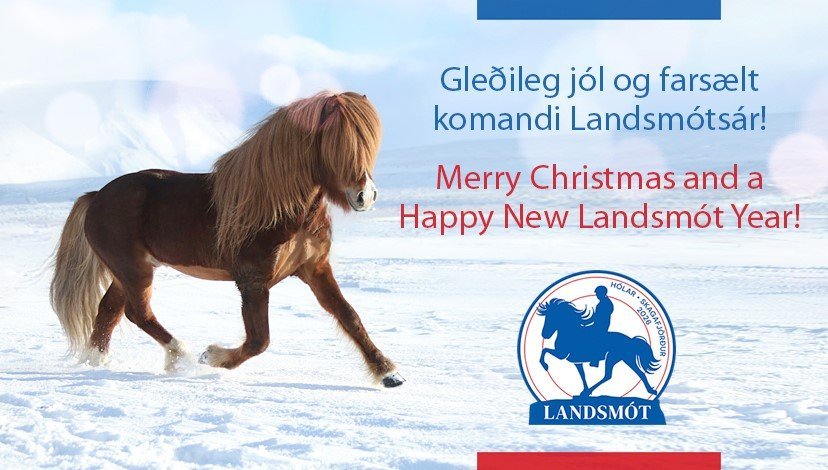 Mynd: Freydís Bergsdóttir