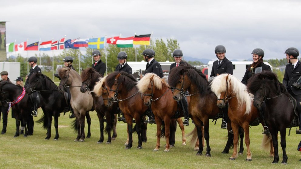 Fjöldi kynbótahrossa á Landsmóti verða 170