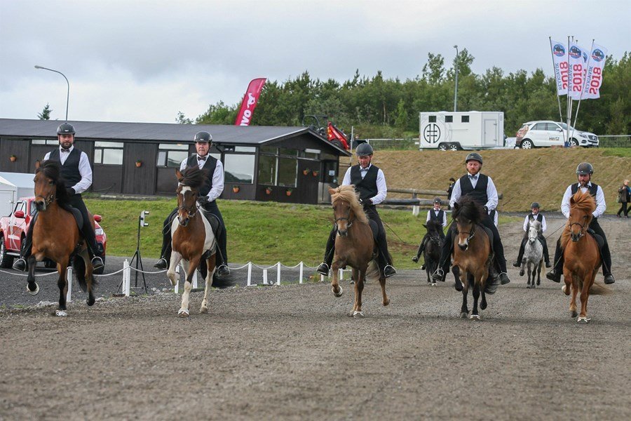 Viltu sýna þína ræktun á Landsmóti í sumar?