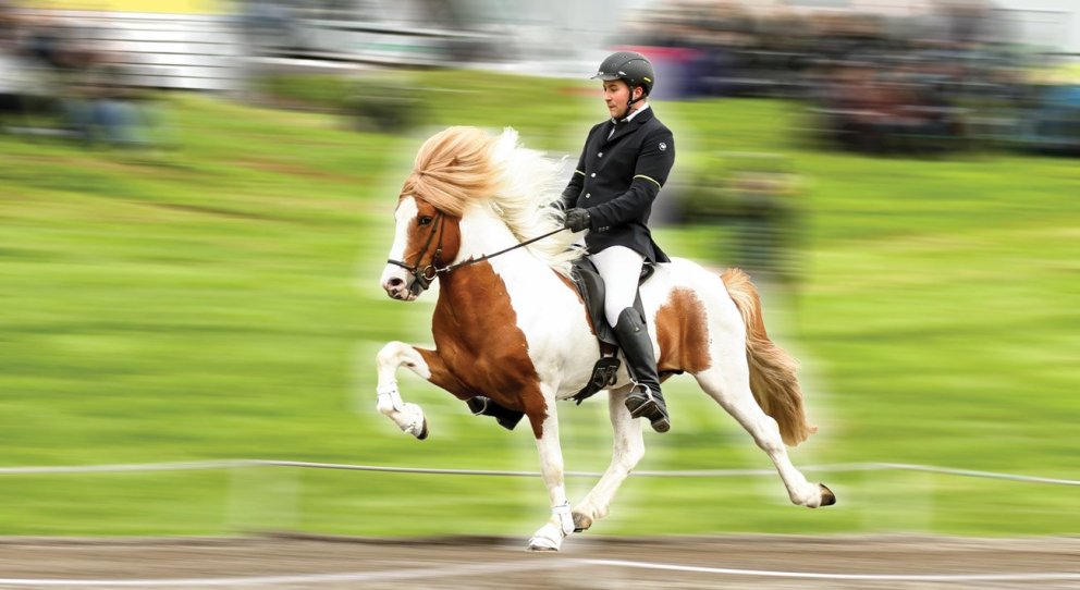 Allar íþróttagreinar á Landsmóti 2024