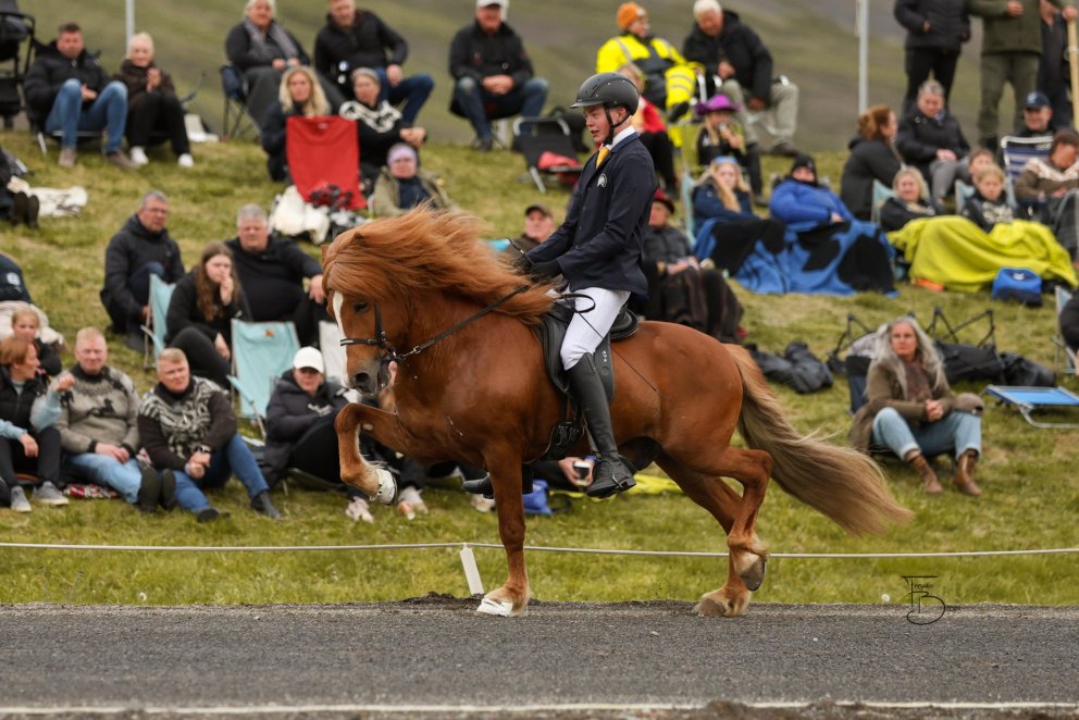 Gabríel Liljendal Friðfinnsson og Ólsen frá Egilsá. Mynd Freydís Bergsdóttir