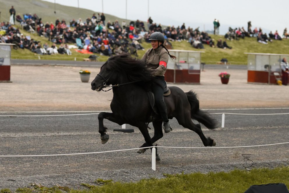 Guðrún Lilja Rúnarsdóttir and Kári frá Morastöðum. Mynd Freydís Bergsdóttir