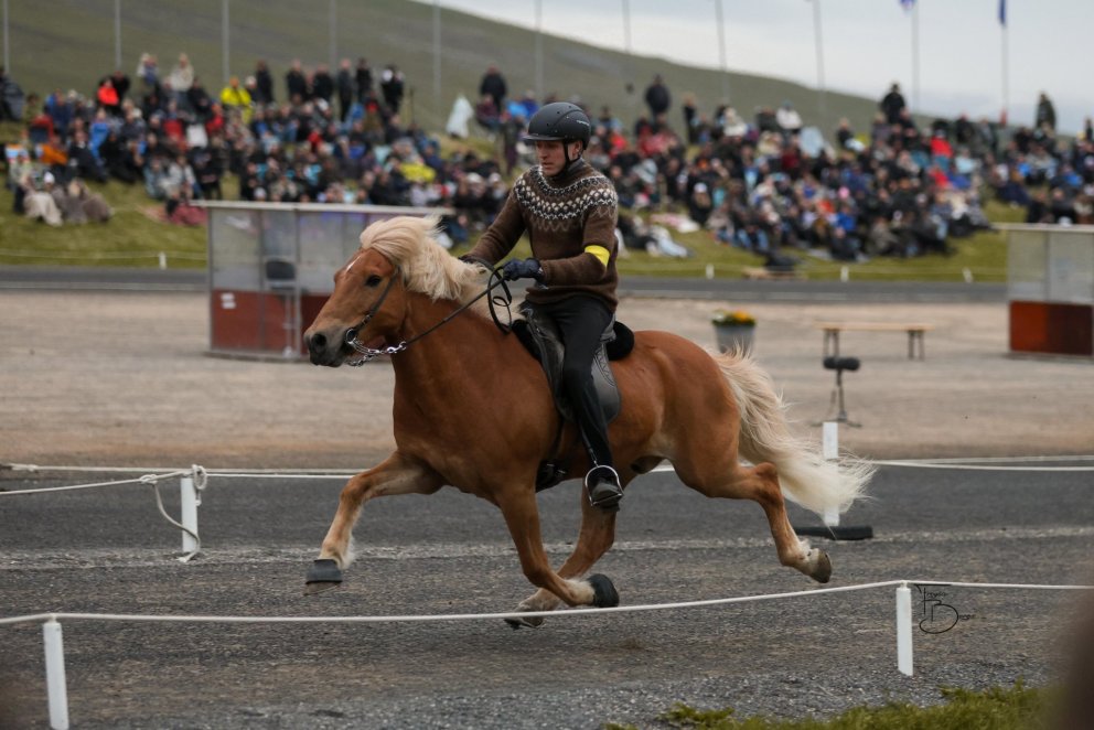Konráð Valur Sveinsson og Kjarkur frá Árbæjarhjáleigu II. Mynd Freydís Bergsdóttir