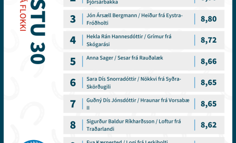 Matthías og Tumi leiða ungmennaflokkinn