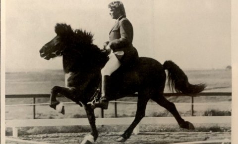 Kristall frá Kolkuósi, owned and ridden by Gylfi Gunnarsson, was the winner of B class gæðingar on t…