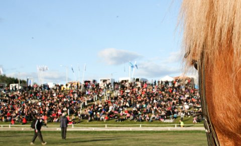 Photo: Gígja D. Einarsdóttir