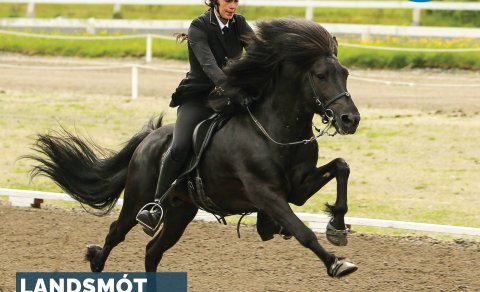 Early bird offer until January 4th!