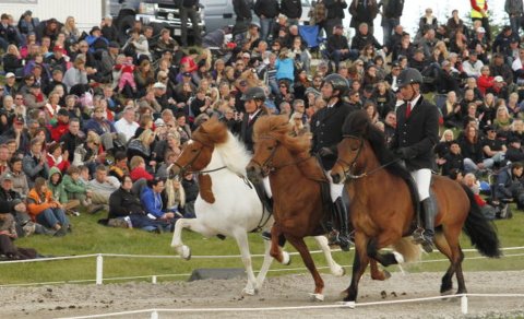 mbl.is / Styrmir Kári 2022