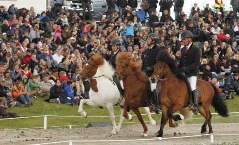 Breedingfarm Show - a list of the farms attending this year