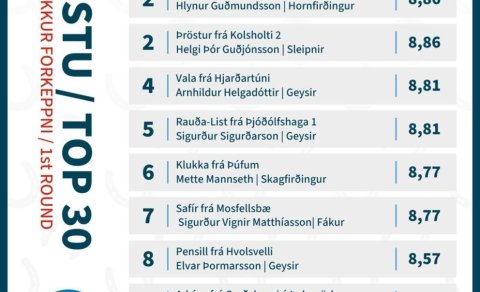 Preliminaries in B-Flokkur closed