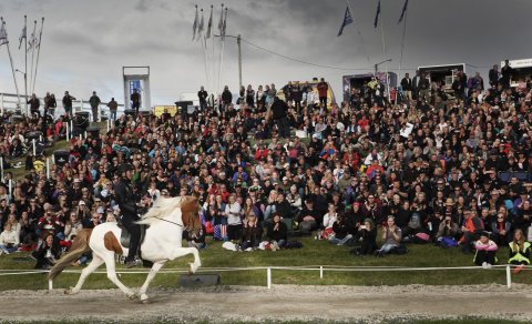 Audience responsibility