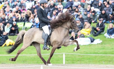 Árni Björn and Kastanía in the lead in Tölt T1
