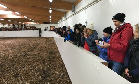 Day of Culture and Breeding in Skagafjörður