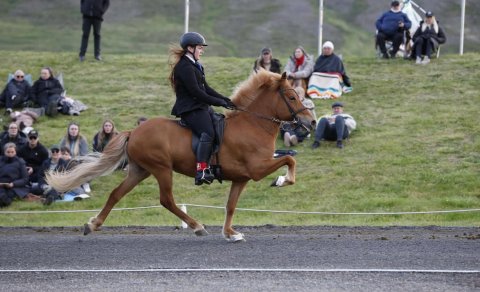 Freydís and Hátíð. Mynd Kolla Gr