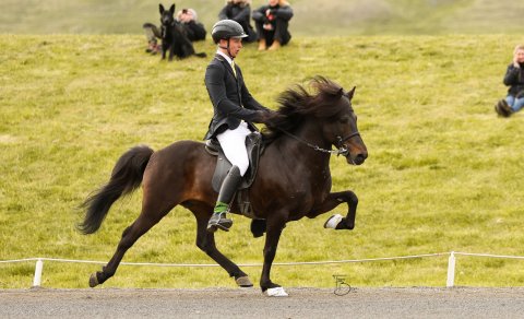 Preliminary round in Youth B Class completed