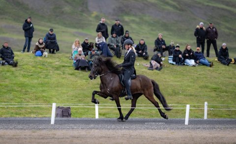Hugsýn frá Ketilsstöðum. Mynd Þórhildur Gunnarsdóttir