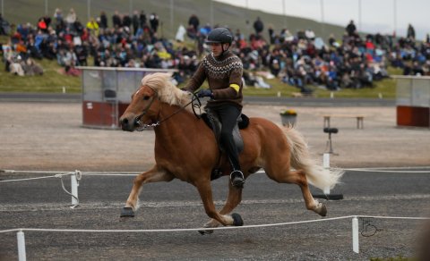 Konráð Valur Sveinsson og Kjarkur frá Árbæjarhjáleigu II. Mynd Freydís Bergsdóttir