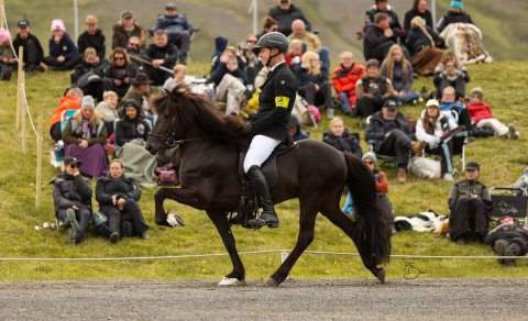 Jakob Svavar Sigurðsson og Kór frá Skálakoti. Mynd Freydís Bergsdóttir