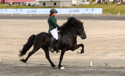 Eik Elvarsdóttir and Valur frá Stangarlæk 1. Mynd Freydís Bergsdóttir