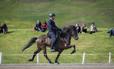 Tíbrá frá Eystra- Hóli og Ævar Örn Guðjónsson.Mynd Mystery.horses